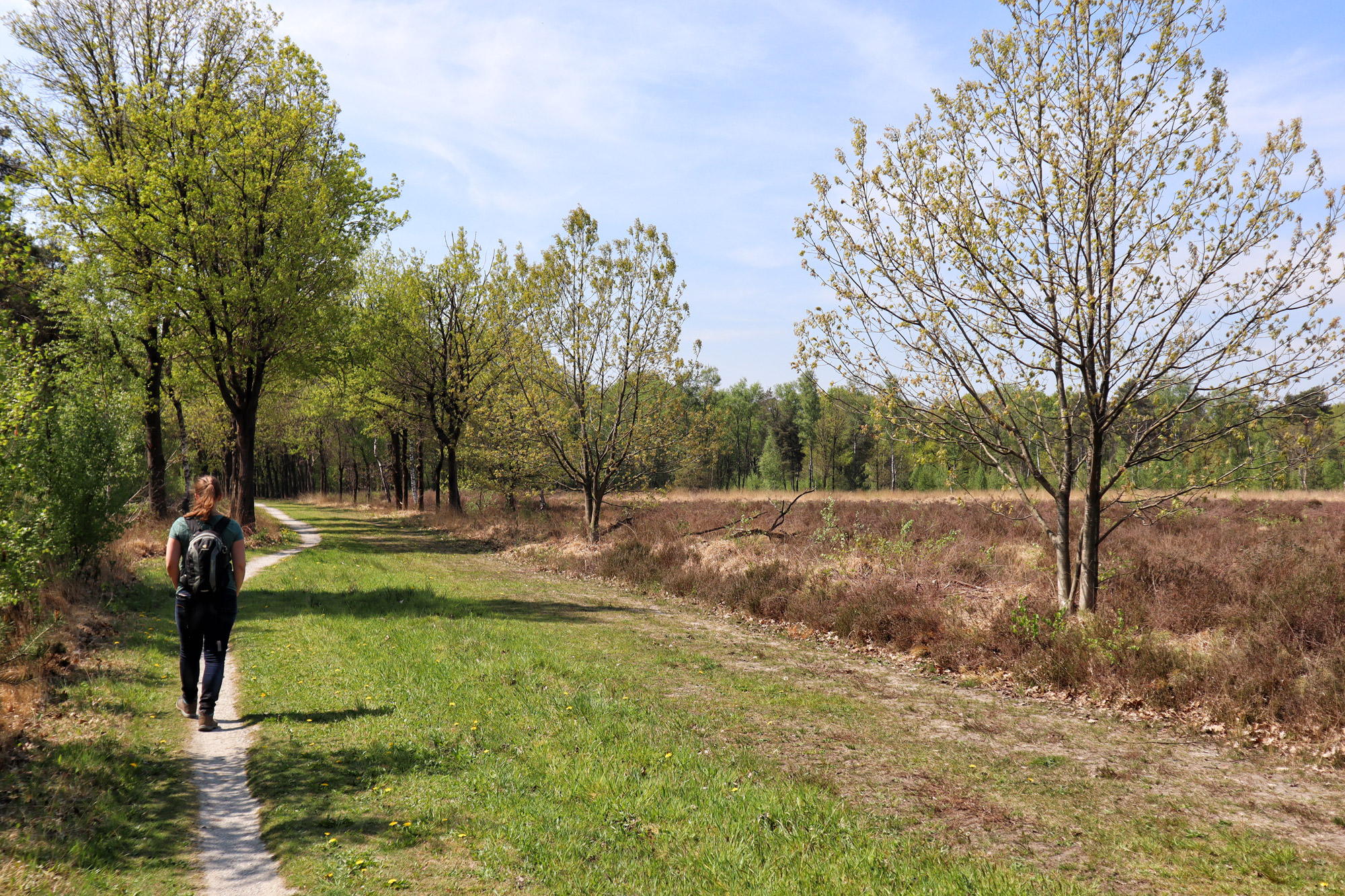 Trage Tocht Netersel