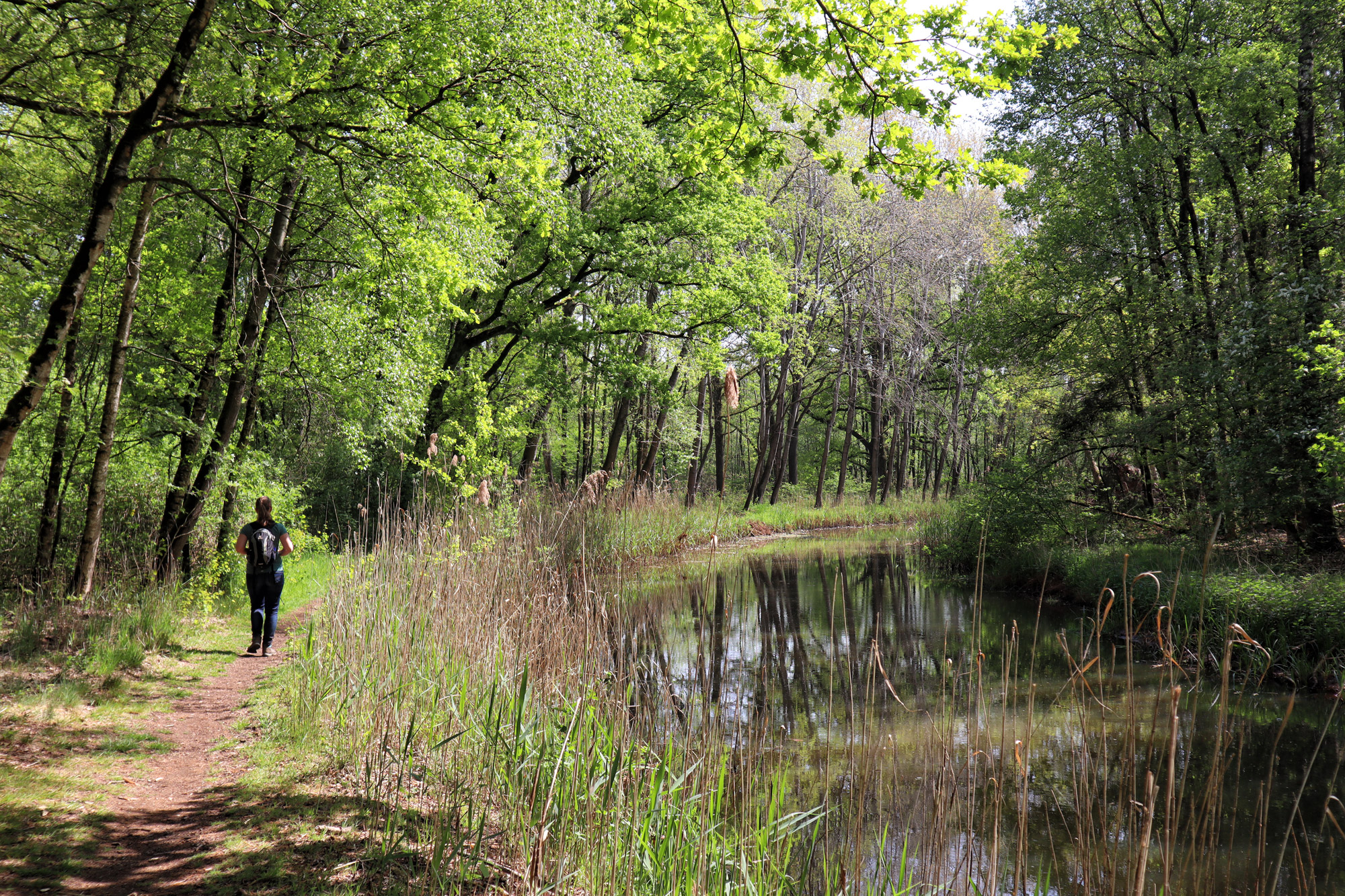 Trage Tocht Netersel