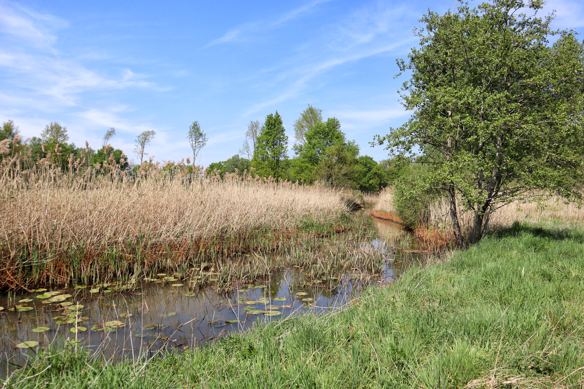 Trage Tocht Netersel