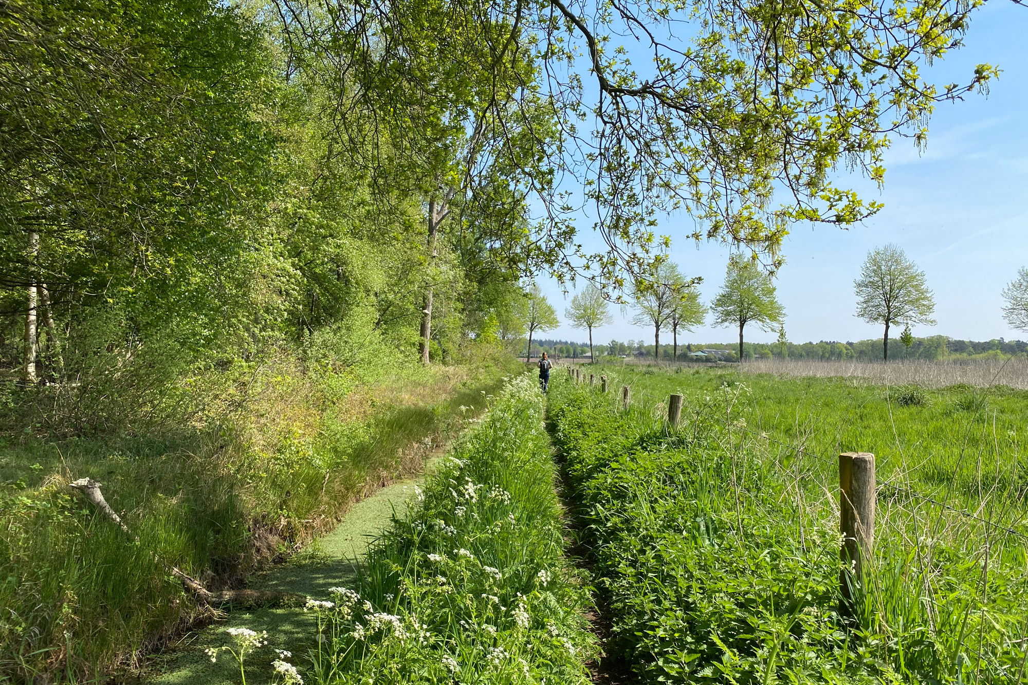 Trage Tocht Netersel