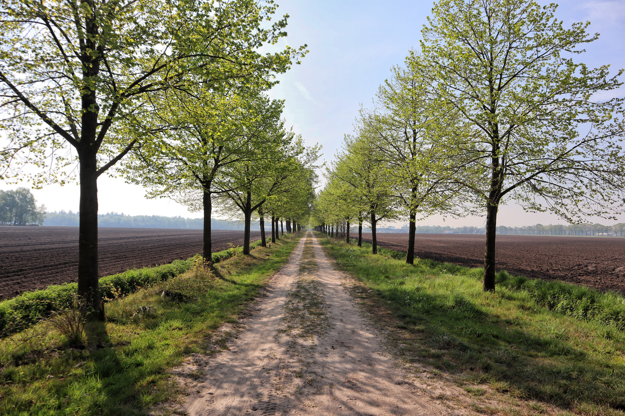 Trage Tocht Netersel