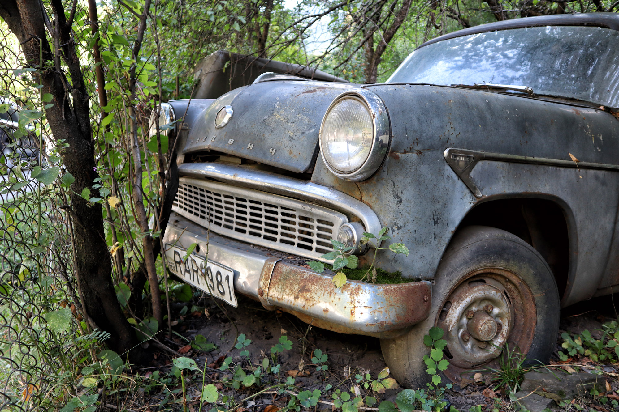 Passanuri Auto Museum - Georgië