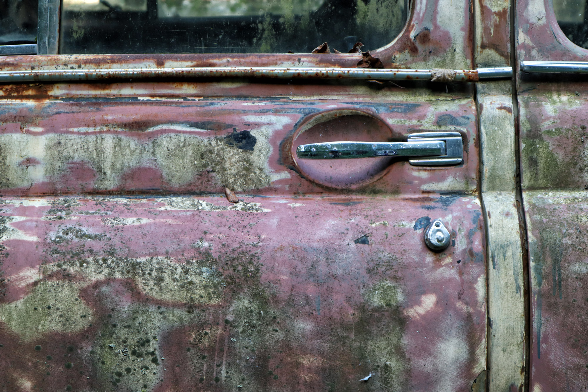 Passanuri Auto Museum - Georgië