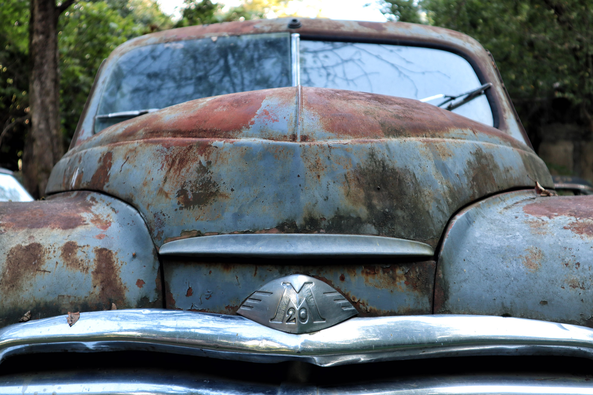 Passanuri Auto Museum - Georgië