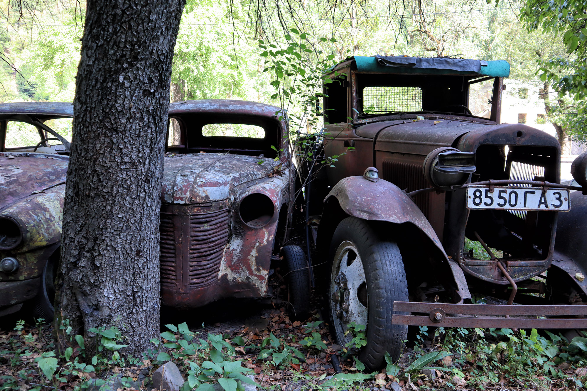 Passanuri Auto Museum - Georgië