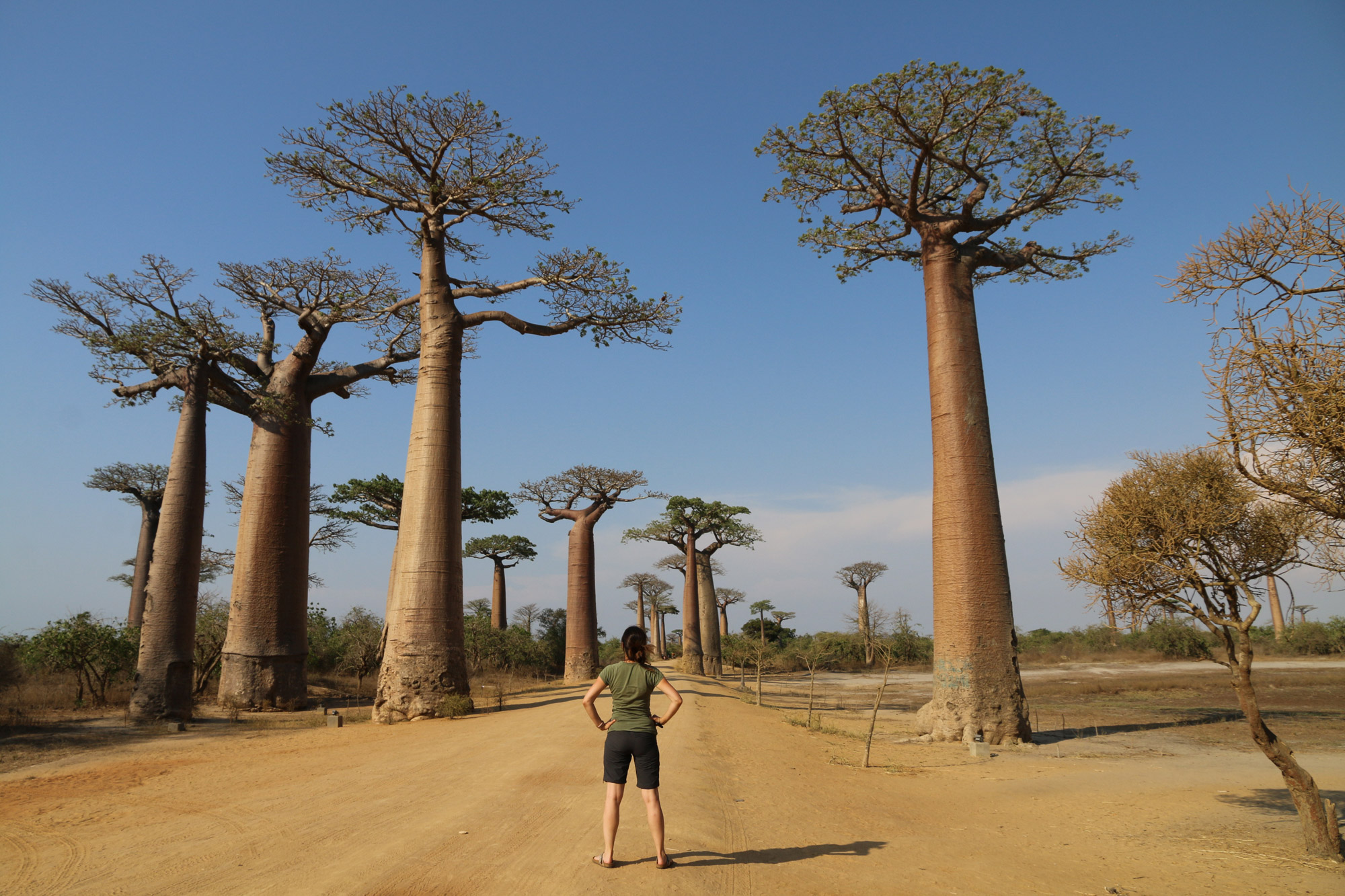 Reisroute Madagascar