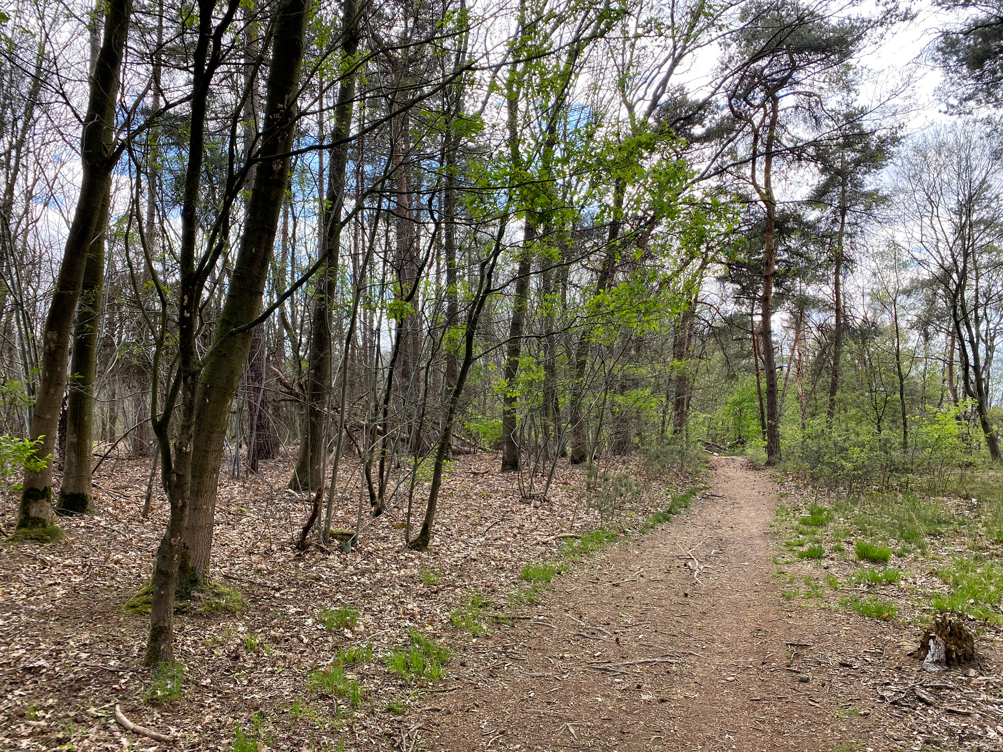 Heide en vennen route in Geldrop - Braakhuizense Heide