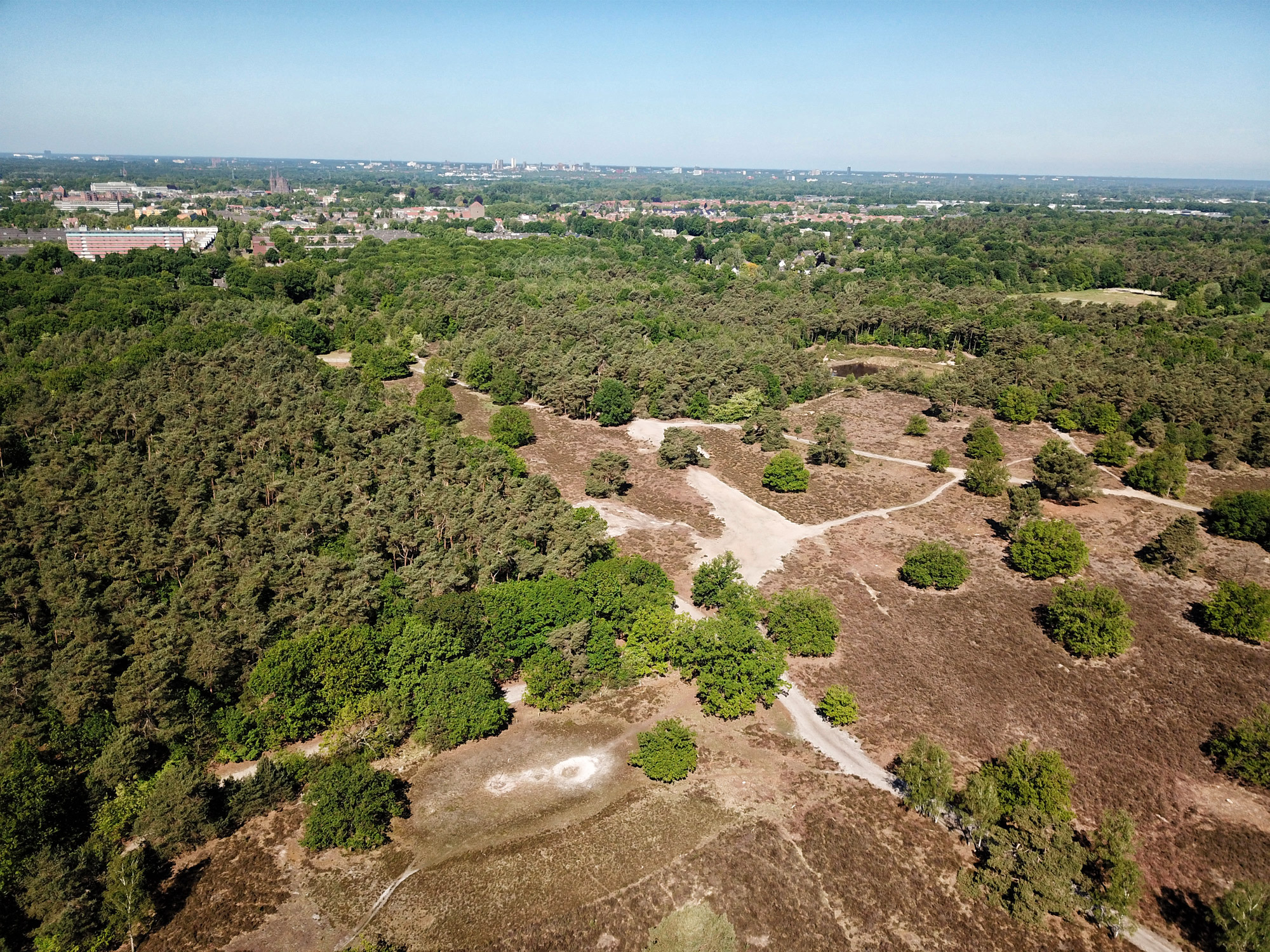 Heide en vennen route in Geldrop - Coeveringse Heide