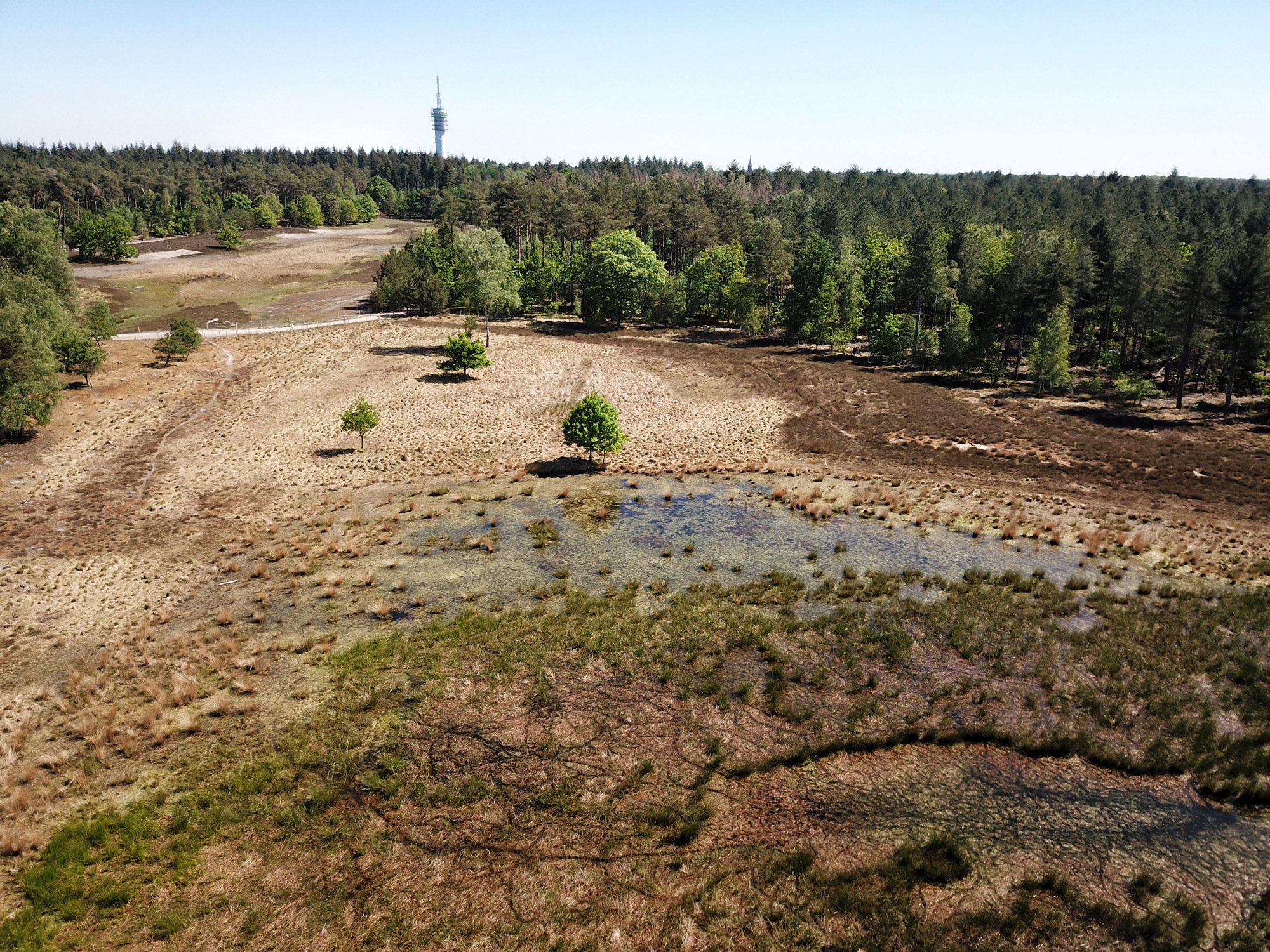 Heide en vennen route in Geldrop - Molenheide, Lisven