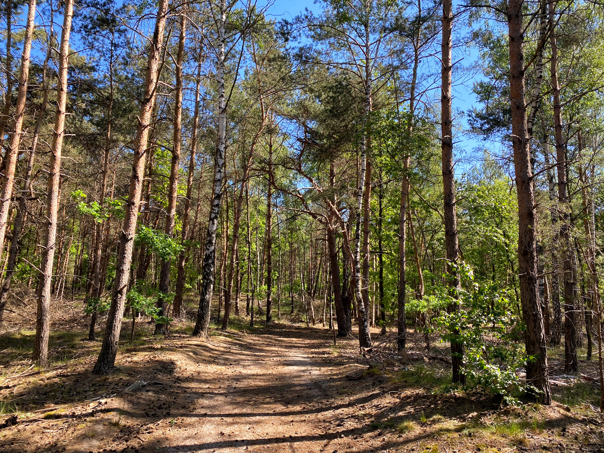 Heide en vennen route in Geldrop - Tussen Geldrop en Mierlo