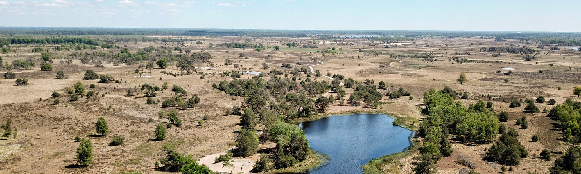 Heide en vennen route in Geldrop - Strabrechtse Heide, Kiezelven