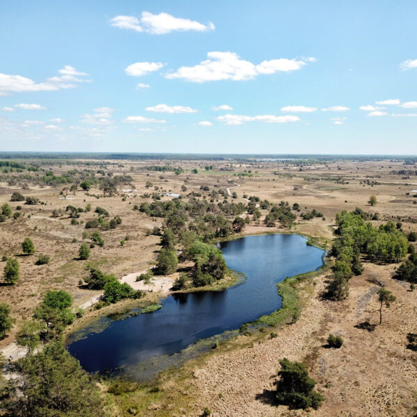 Heide en vennen route in Geldrop - Strabrechtse Heide, Kiezelven