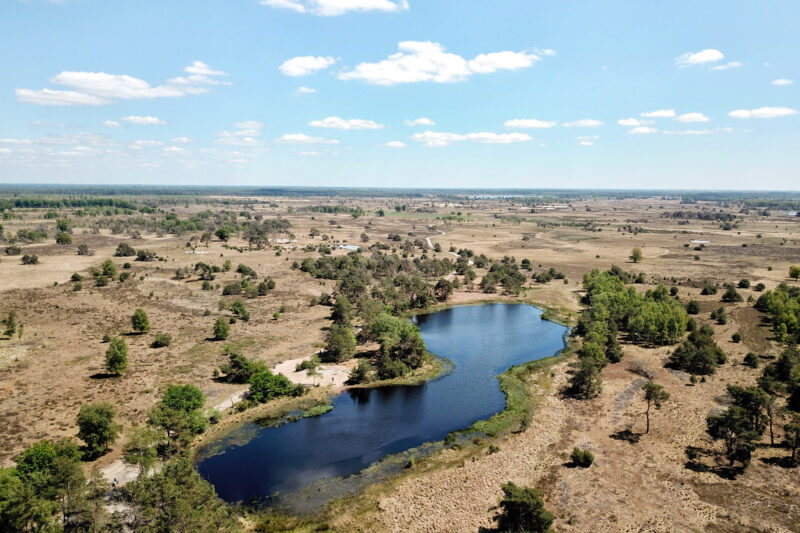 Heide en vennen route in Geldrop - Strabrechtse Heide, Kiezelven