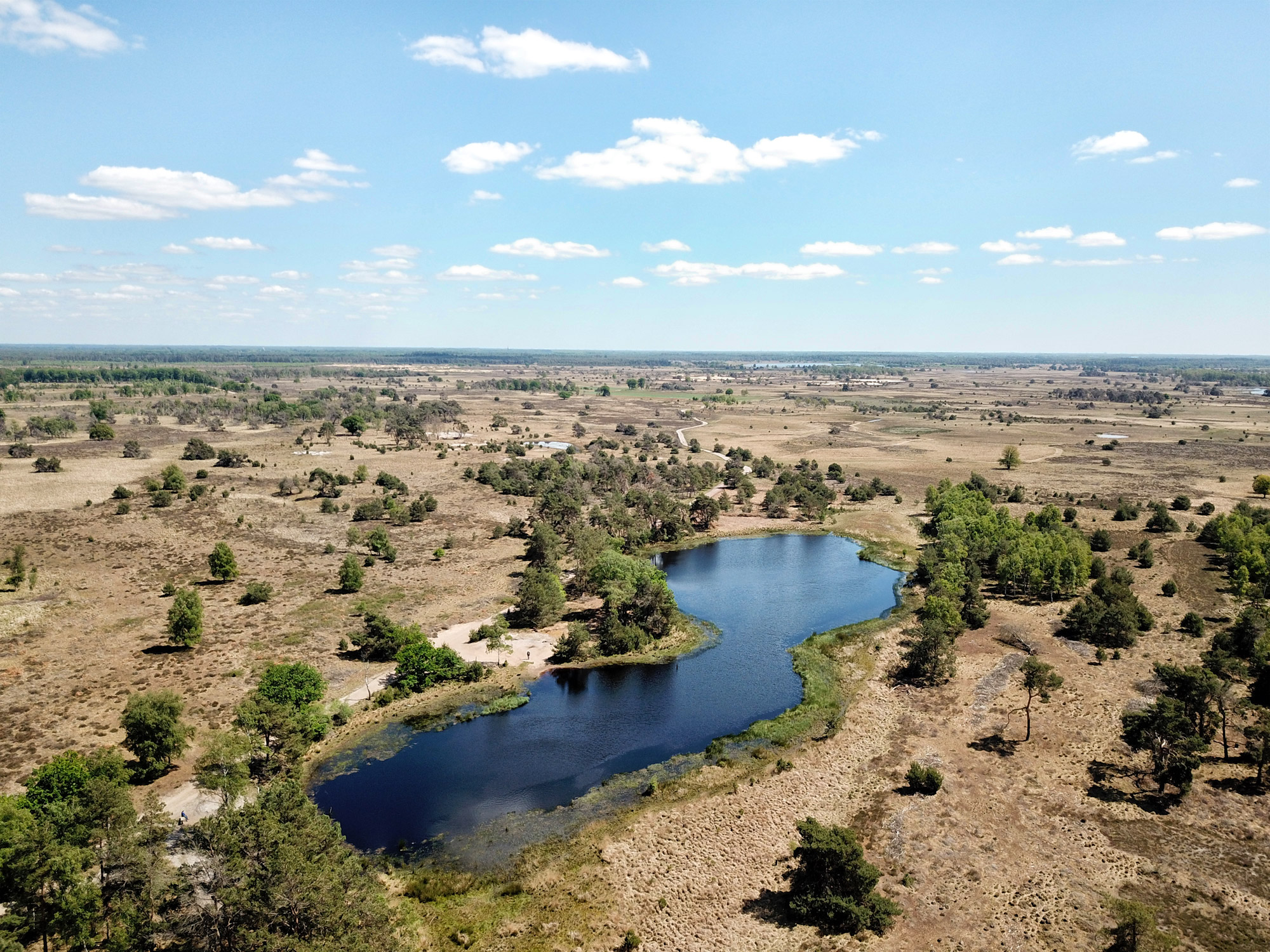 Heide en vennen route in Geldrop - Strabrechtse Heide, Kiezelven