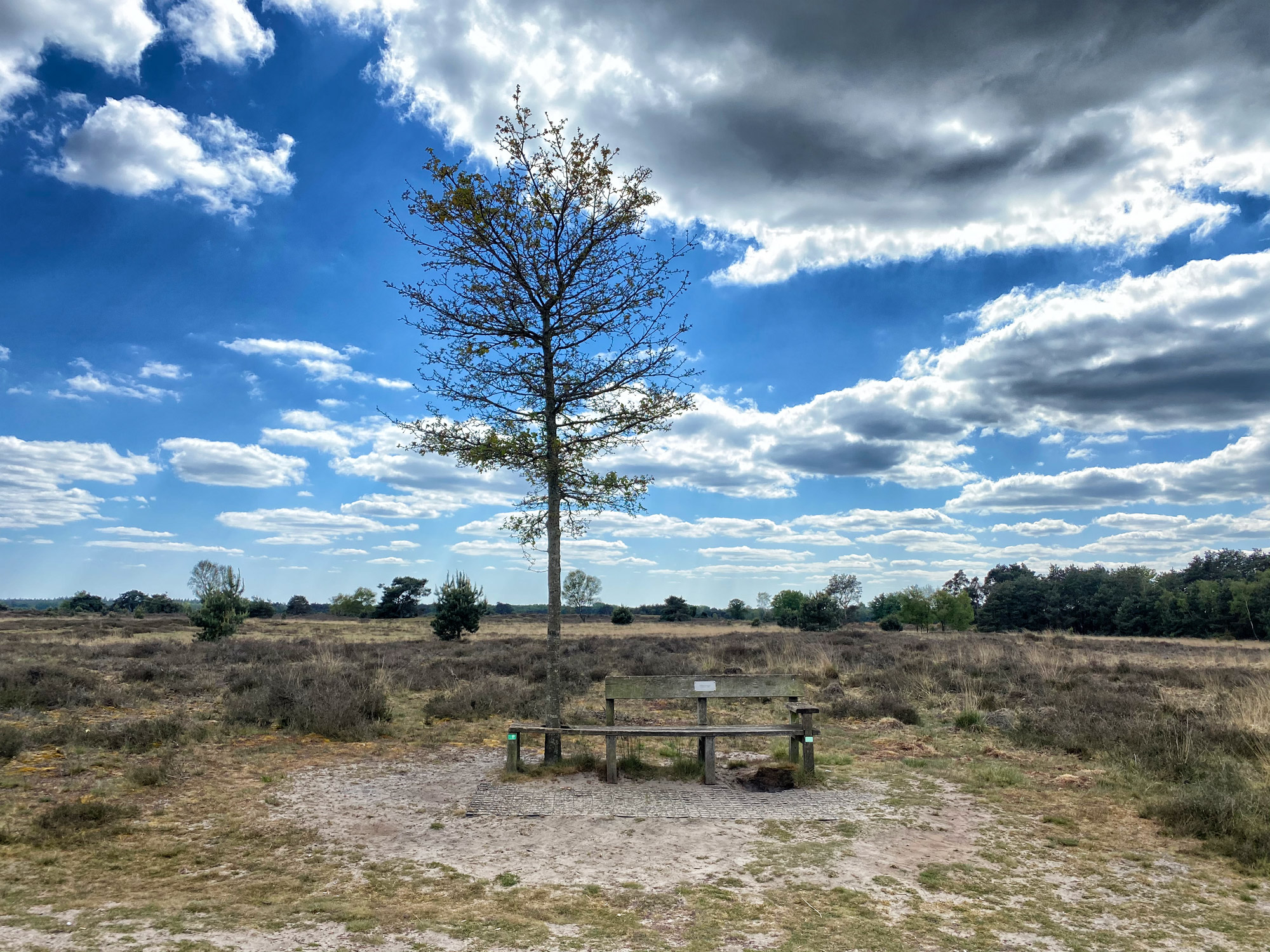 Heide en vennen route in Geldrop - Strabrechtse Heide