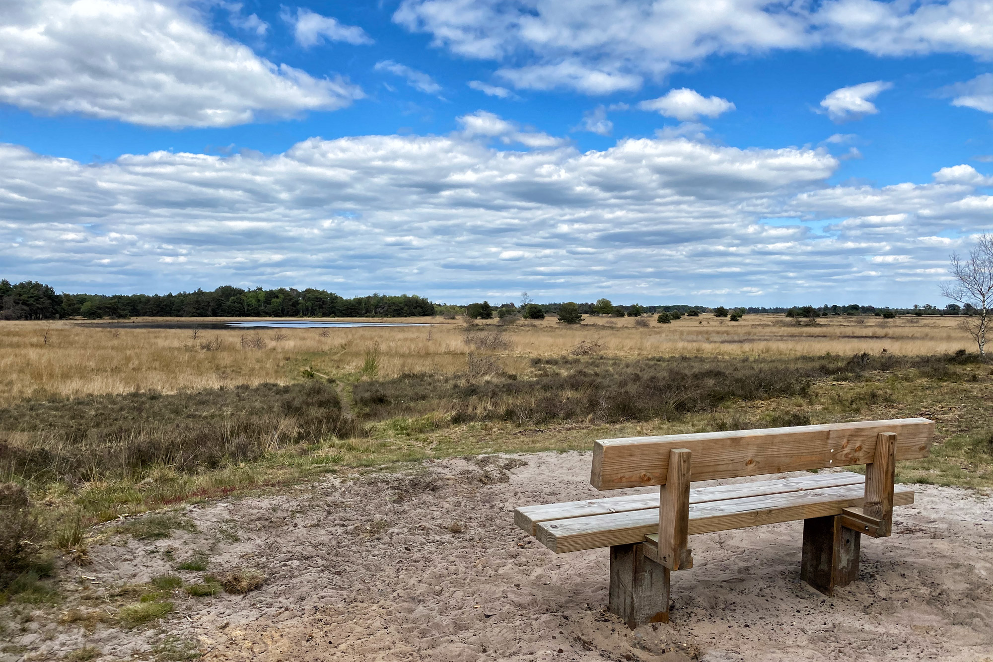 Heide en vennen route in Geldrop - Strabrechtse Heide