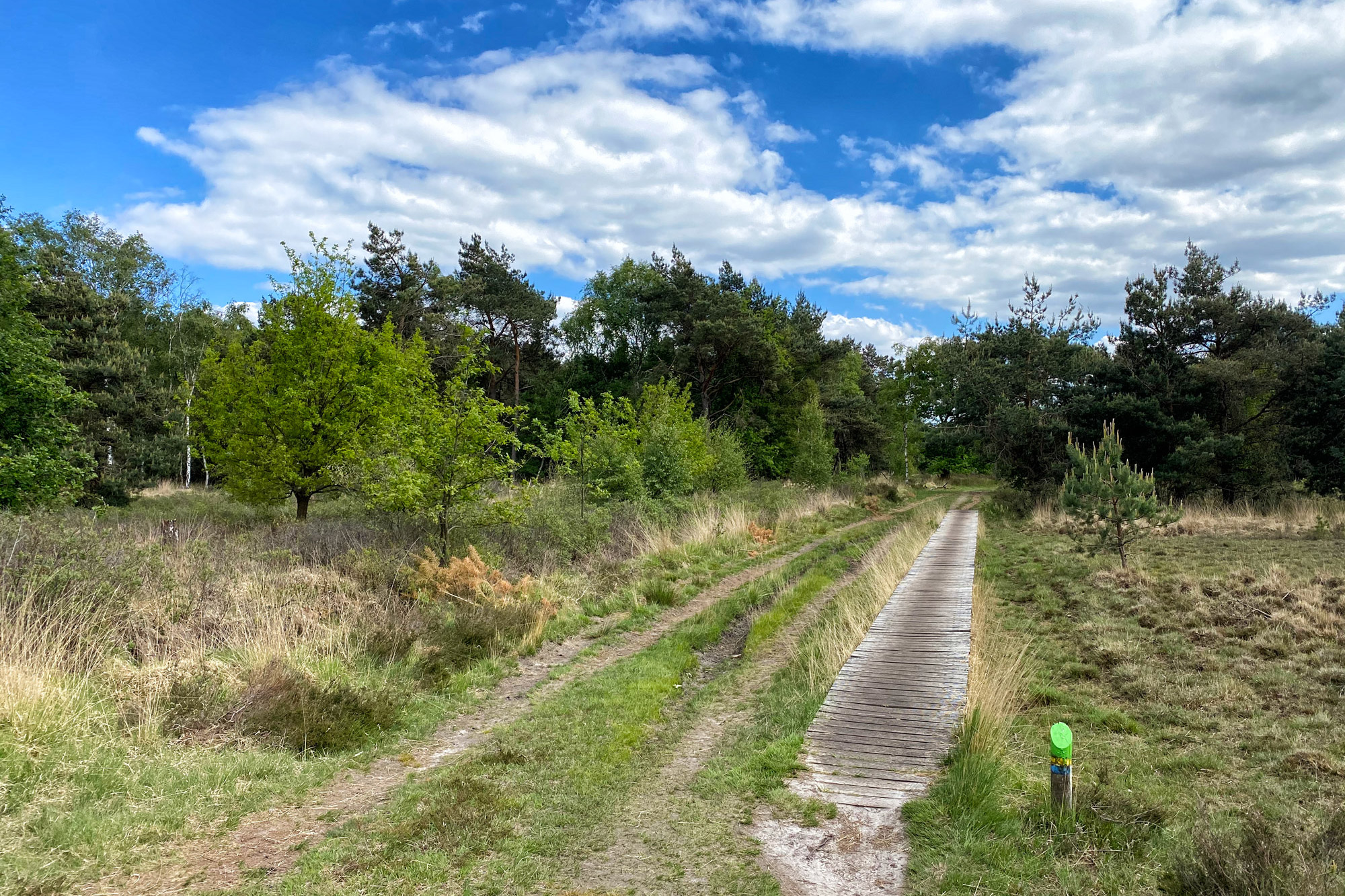 Heide en vennen route in Geldrop - Strabrechtse Heide