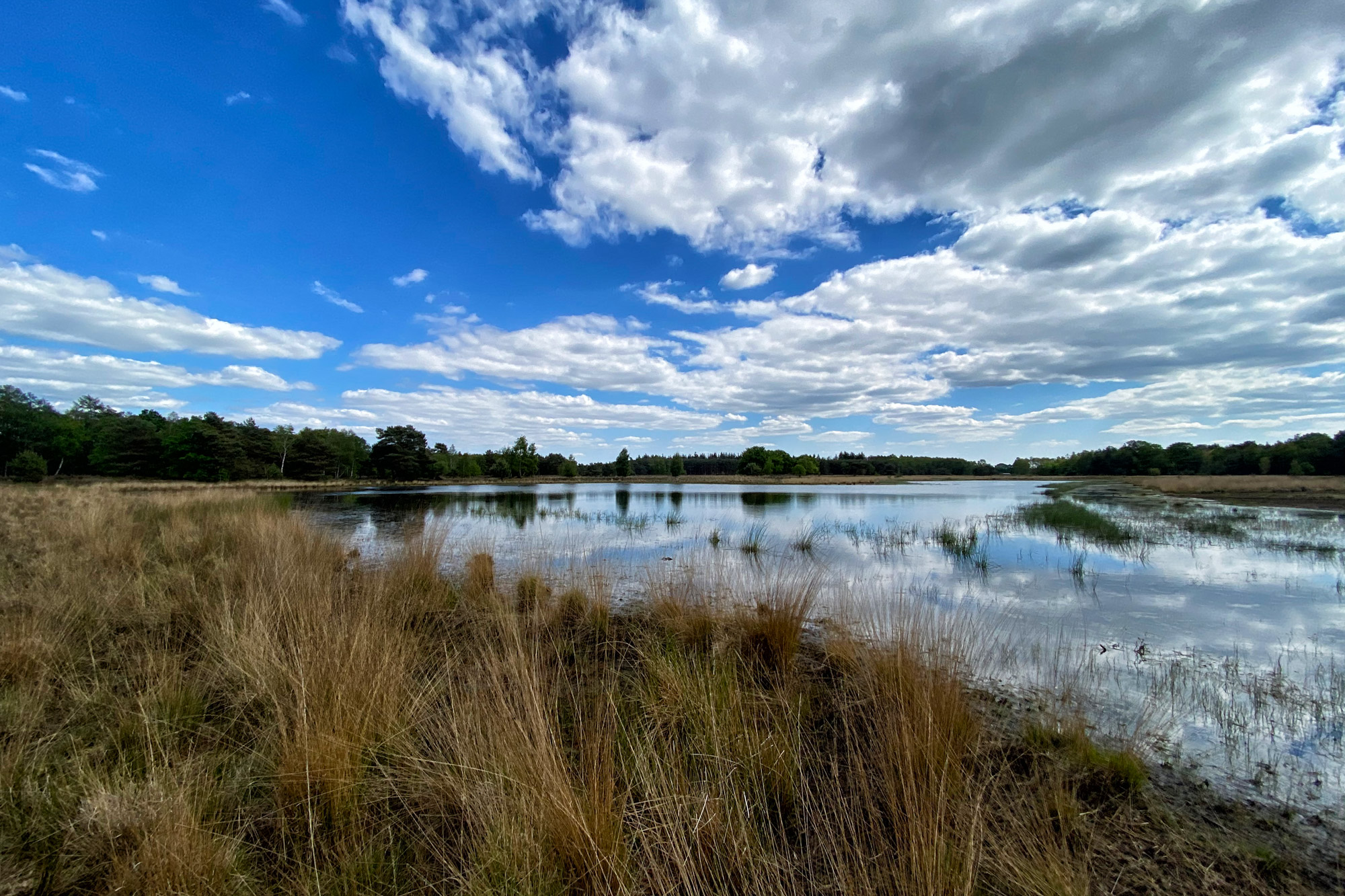 Heide en vennen route in Geldrop - Strabrechtse Heide, Grootven