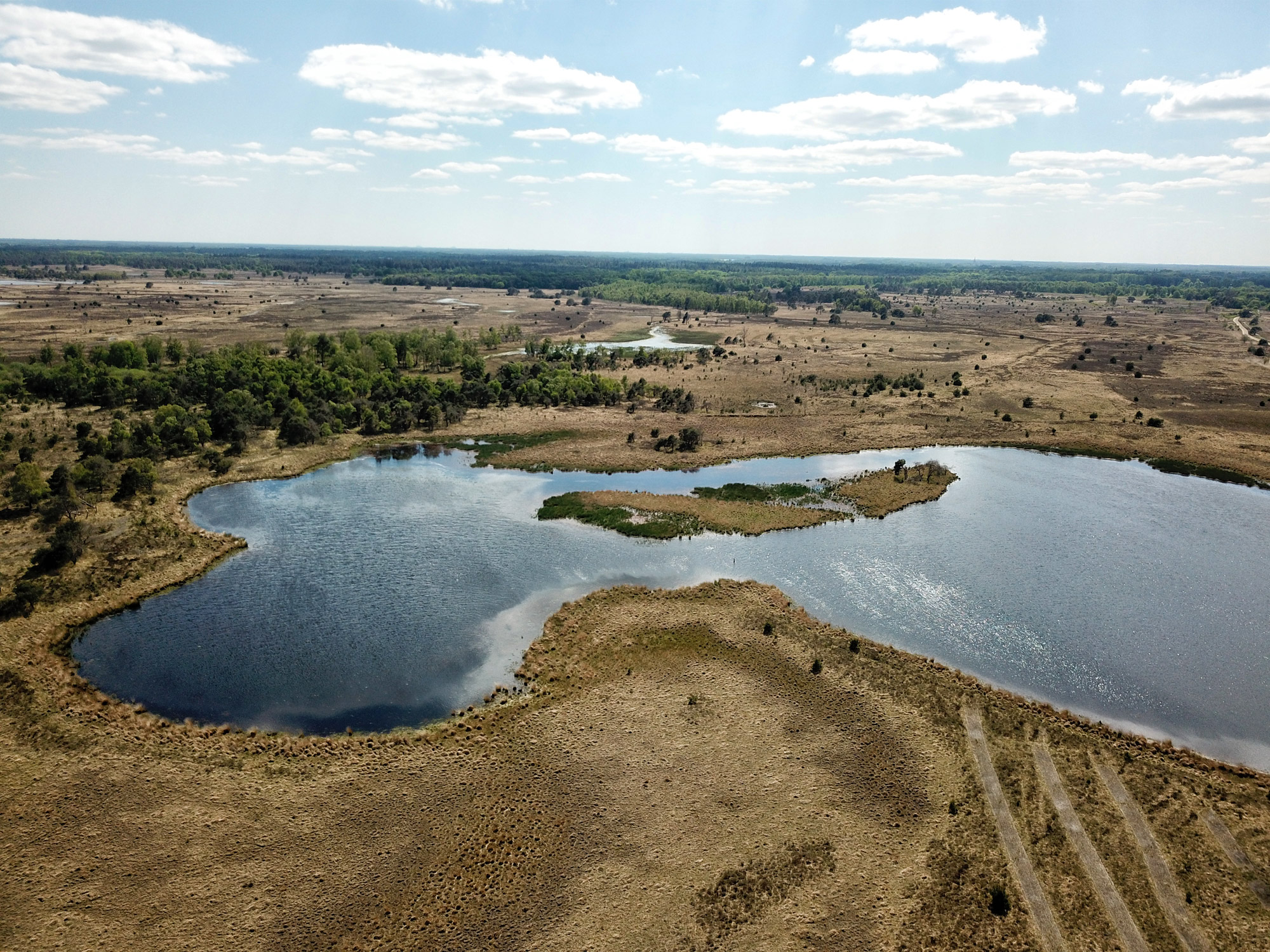 Heide en vennen route in Geldrop - Strabrechtse Heide, Scheidingsven