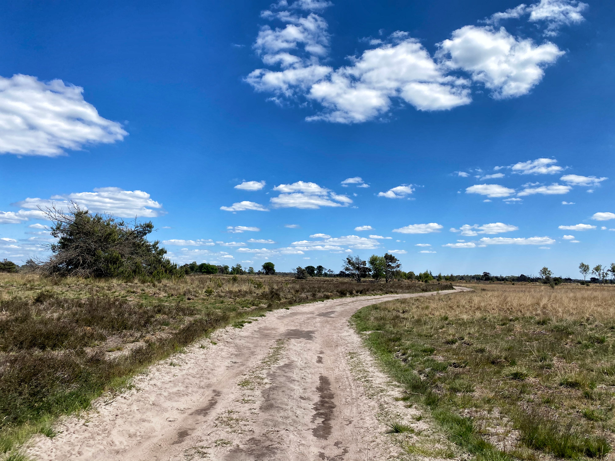 Heide en vennen route in Geldrop - Strabrechtse Heide