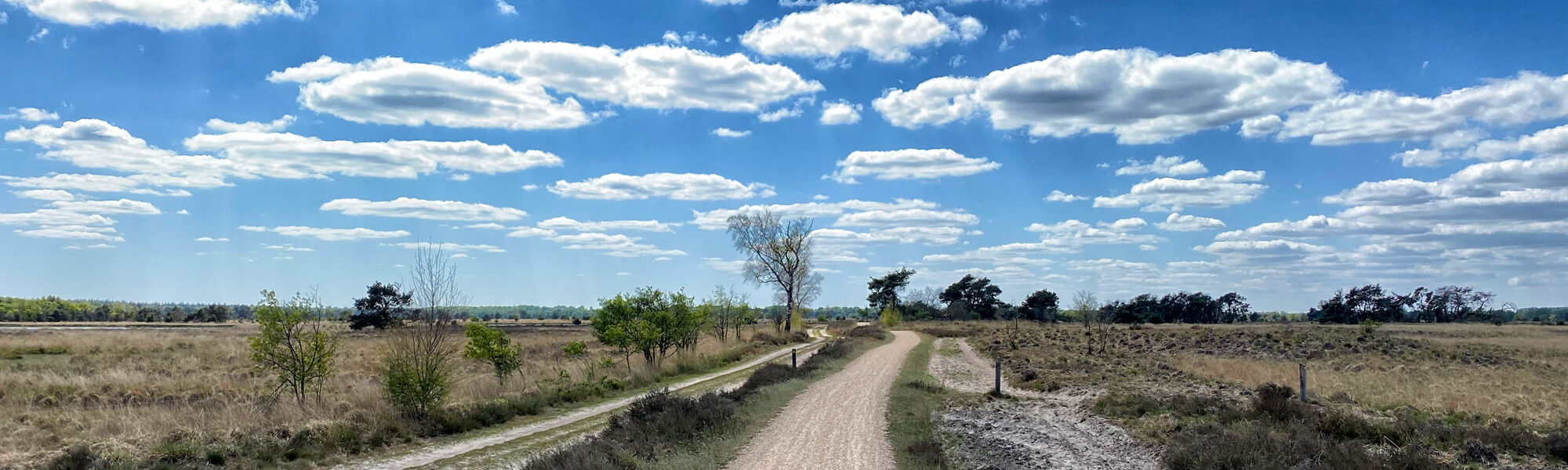 Heide en vennen route in Geldrop - Strabrechtse Heide