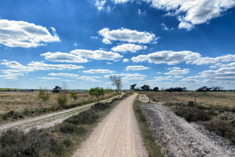 Heide en vennen route in Geldrop - Strabrechtse Heide