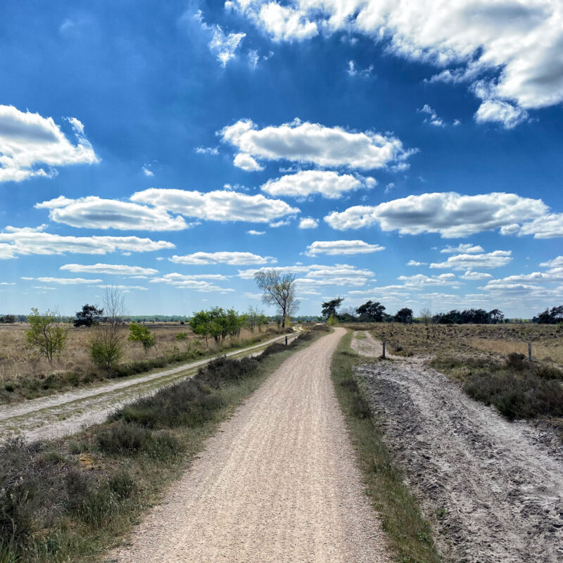 Heide en vennen route in Geldrop - Strabrechtse Heide