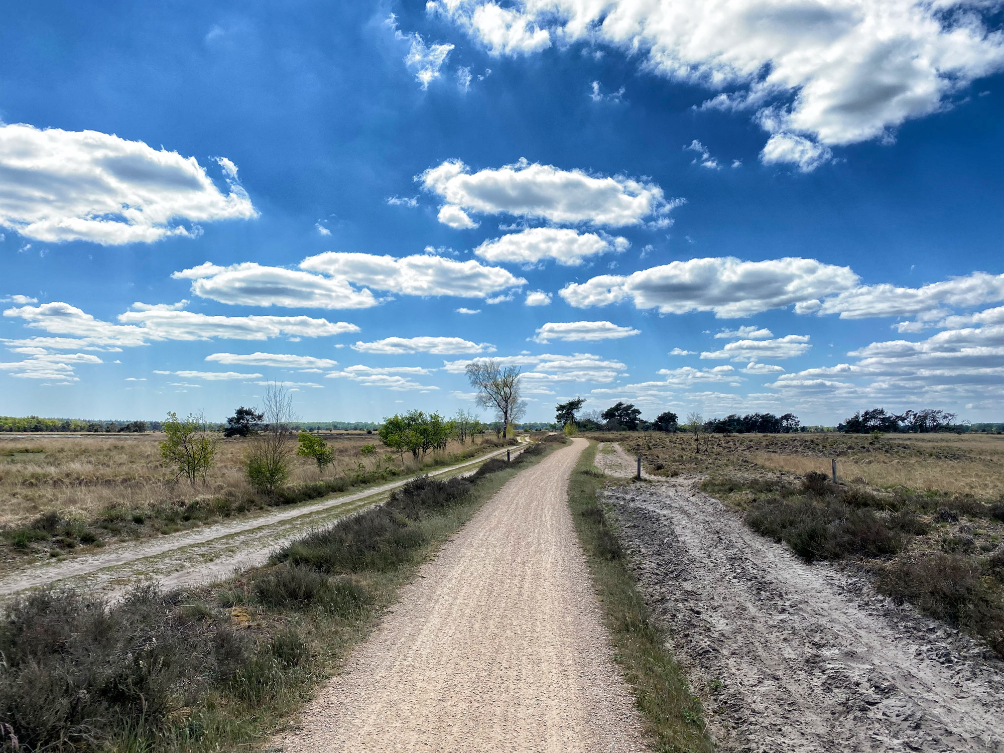 Heide en vennen route in Geldrop - Strabrechtse Heide