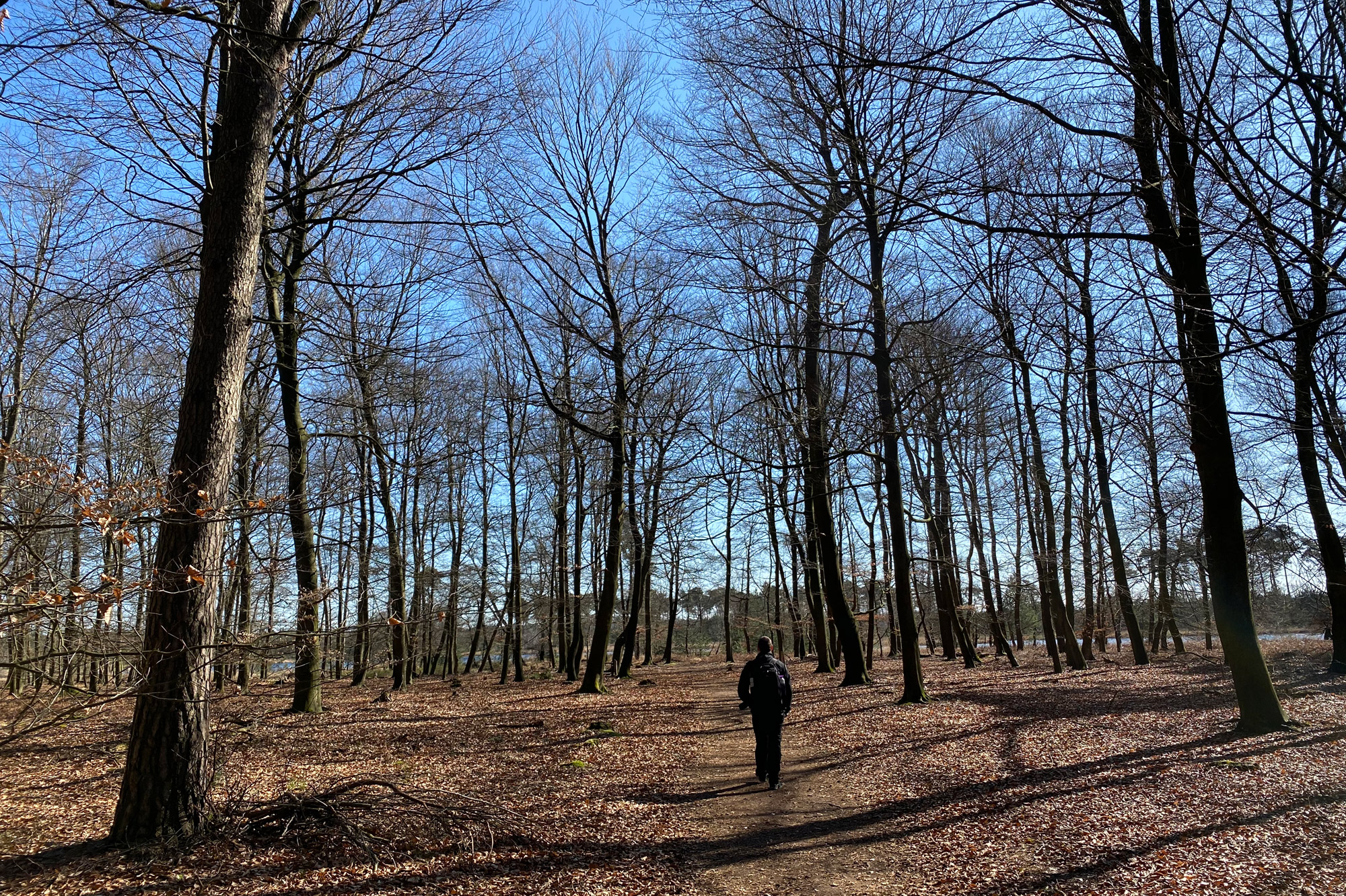 Wandeling: Huisvennenroute in de Kampina