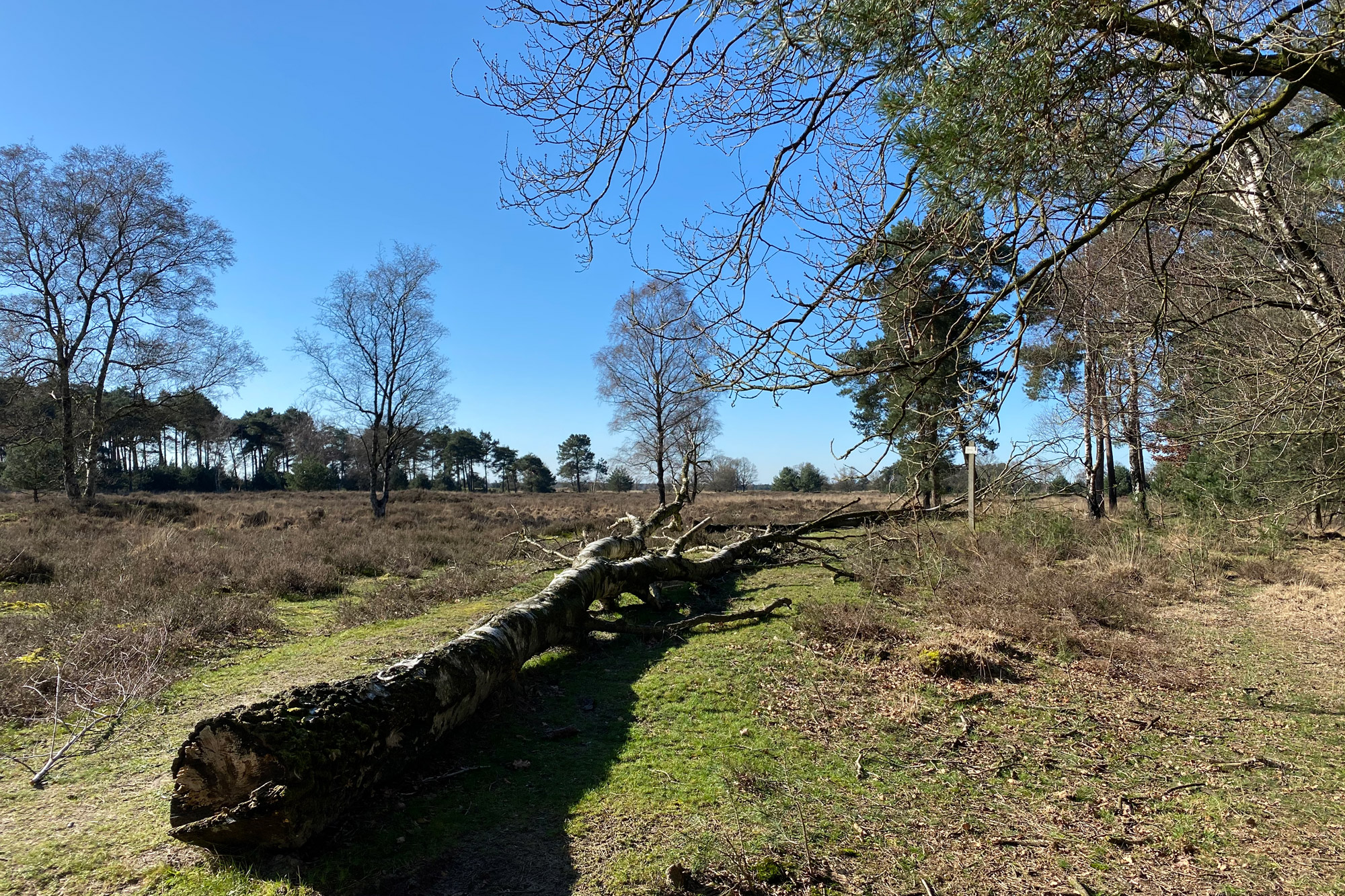 Wandeling: Huisvennenroute in de Kampina