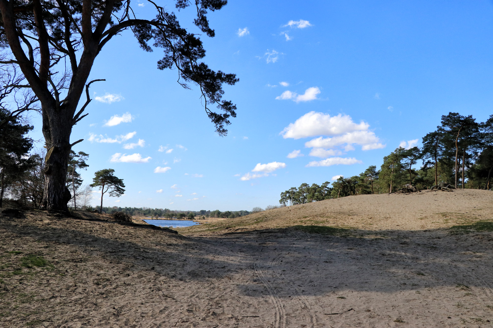 Wandeling: Huisvennenroute in de Kampina