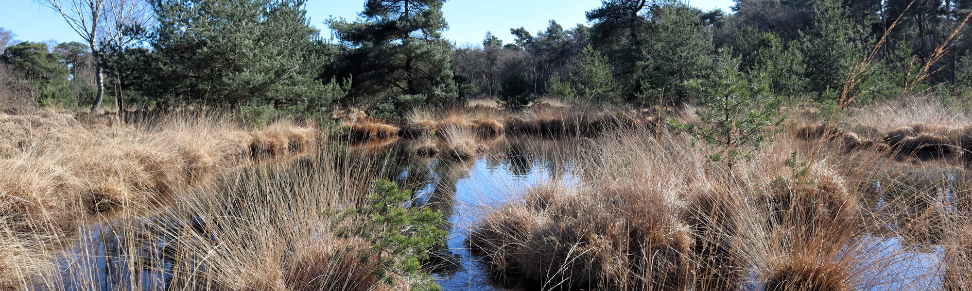 Wandeling: Huisvennenroute in de Kampina