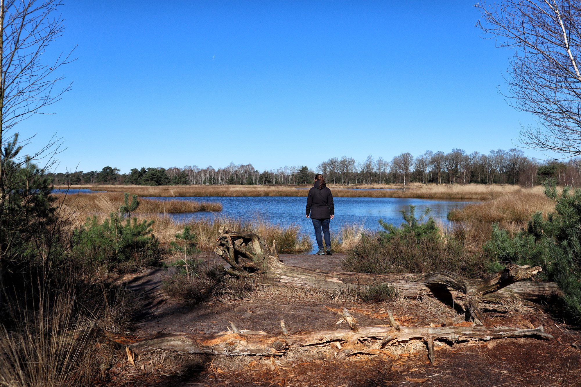 Wandeling: Huisvennenroute in de Kampina