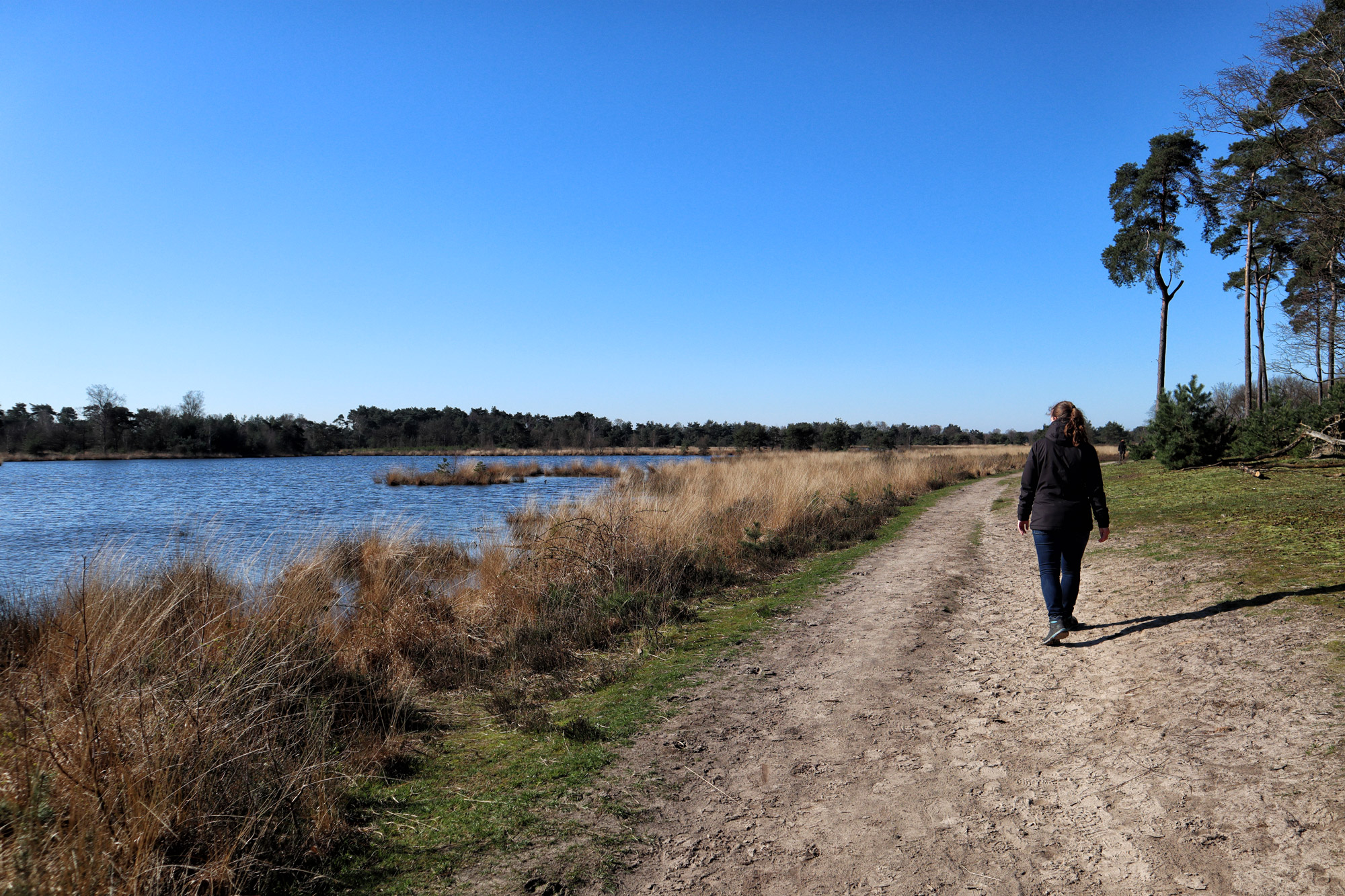 Wandeling: Huisvennenroute in de Kampina