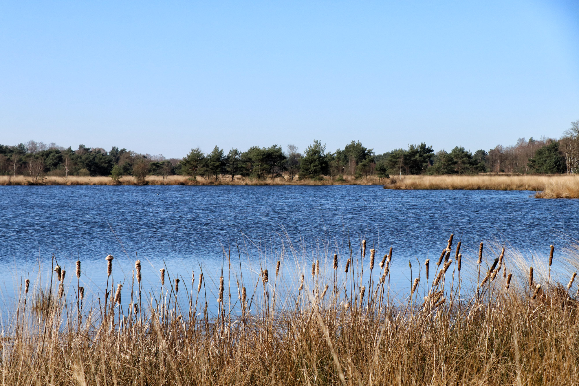 Wandeling: Huisvennenroute in de Kampina