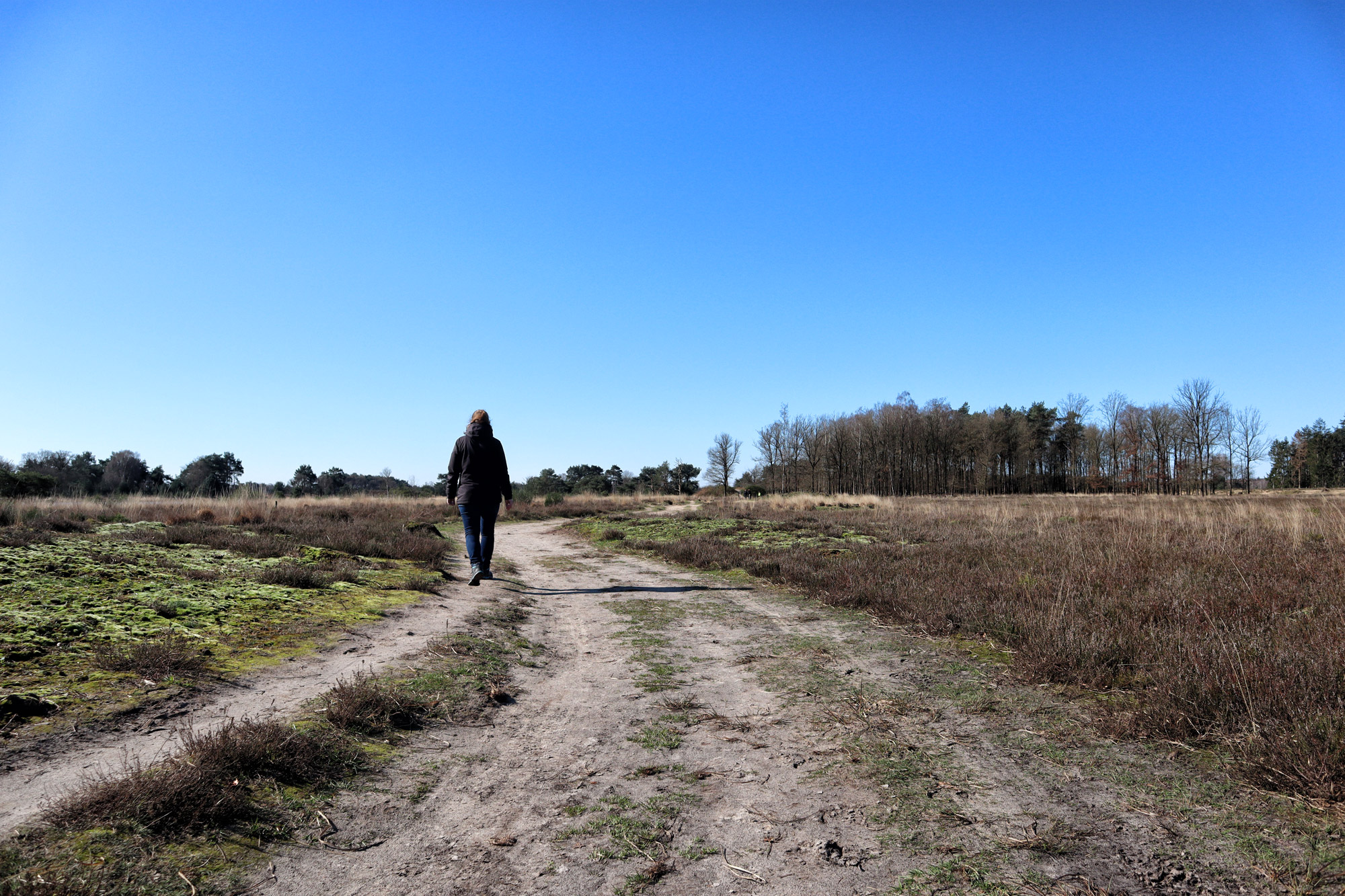 Wandeling: Huisvennenroute in de Kampina