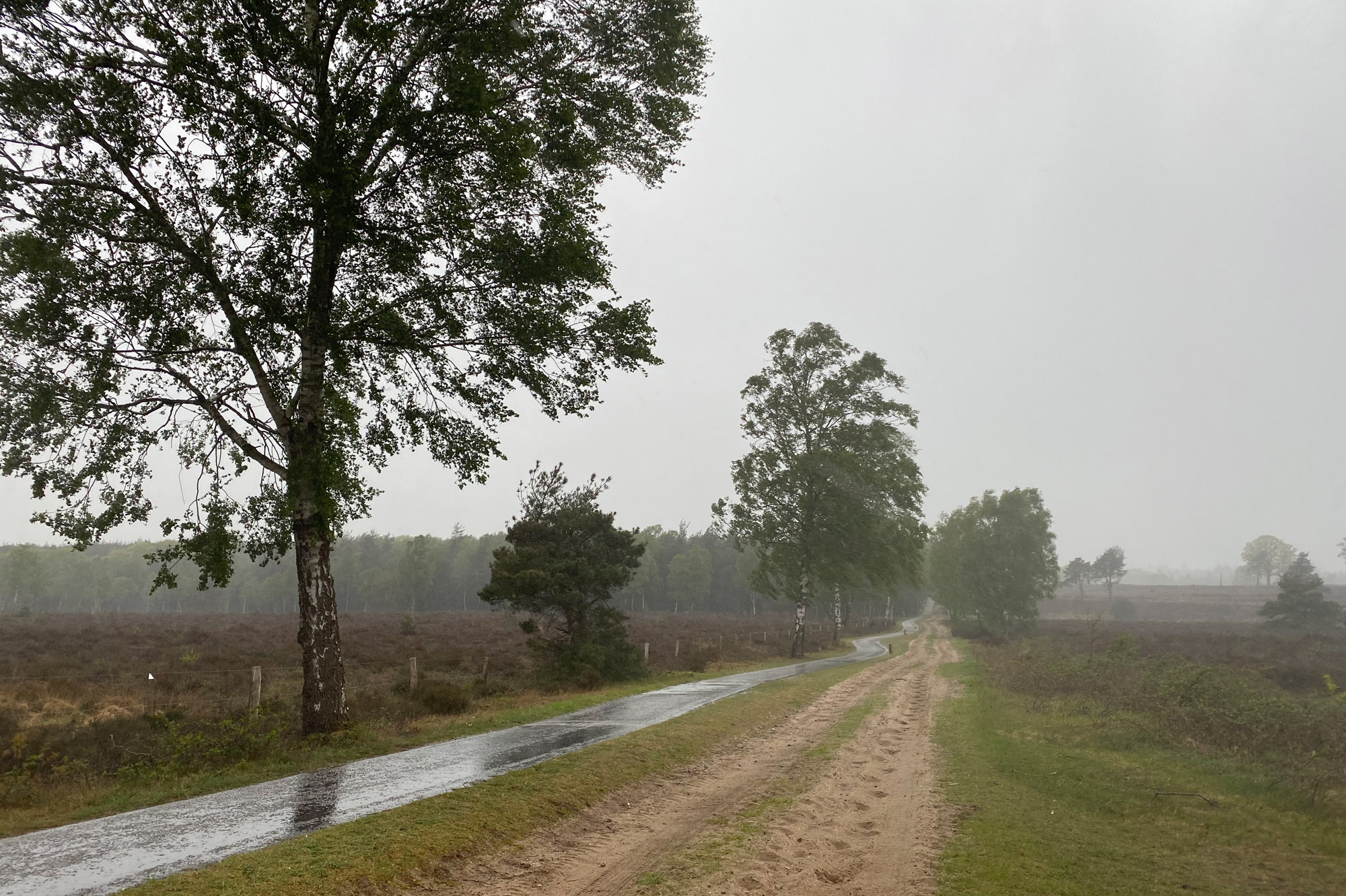 Wandeling: Rollende Heuvels, Sallandse Heuvelrug