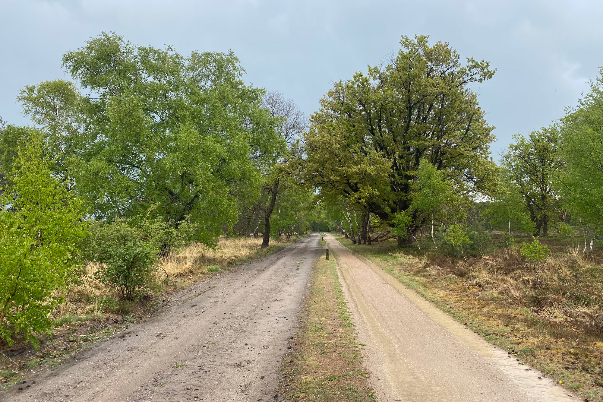 Wandeling: Rollende Heuvels, Sallandse Heuvelrug