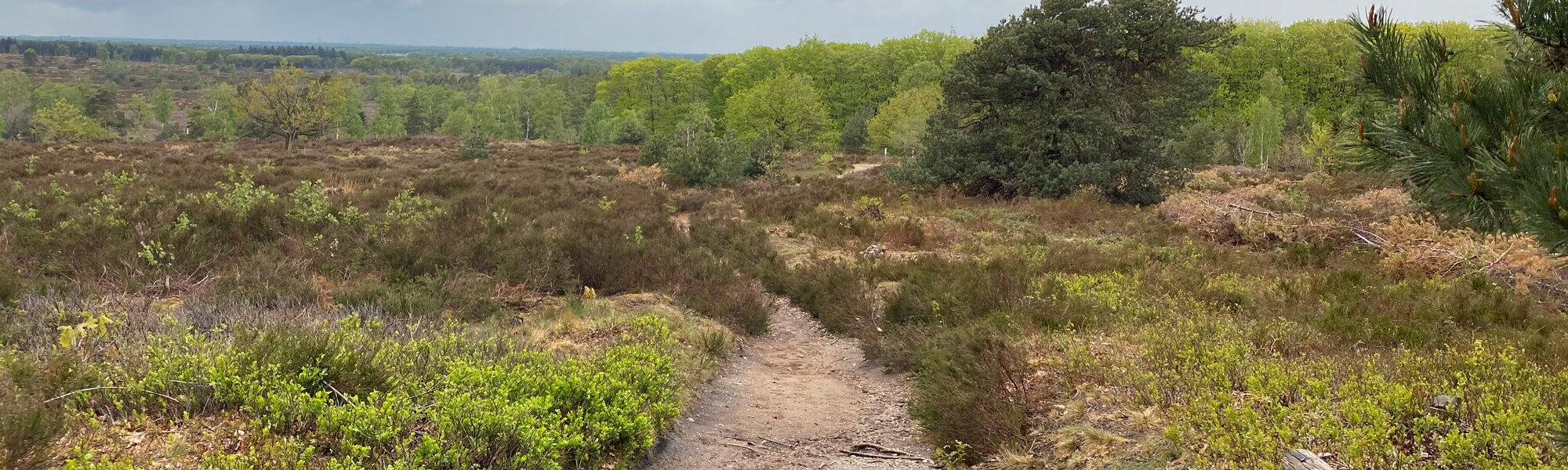 Wandeling: Rollende Heuvels, Sallandse Heuvelrug