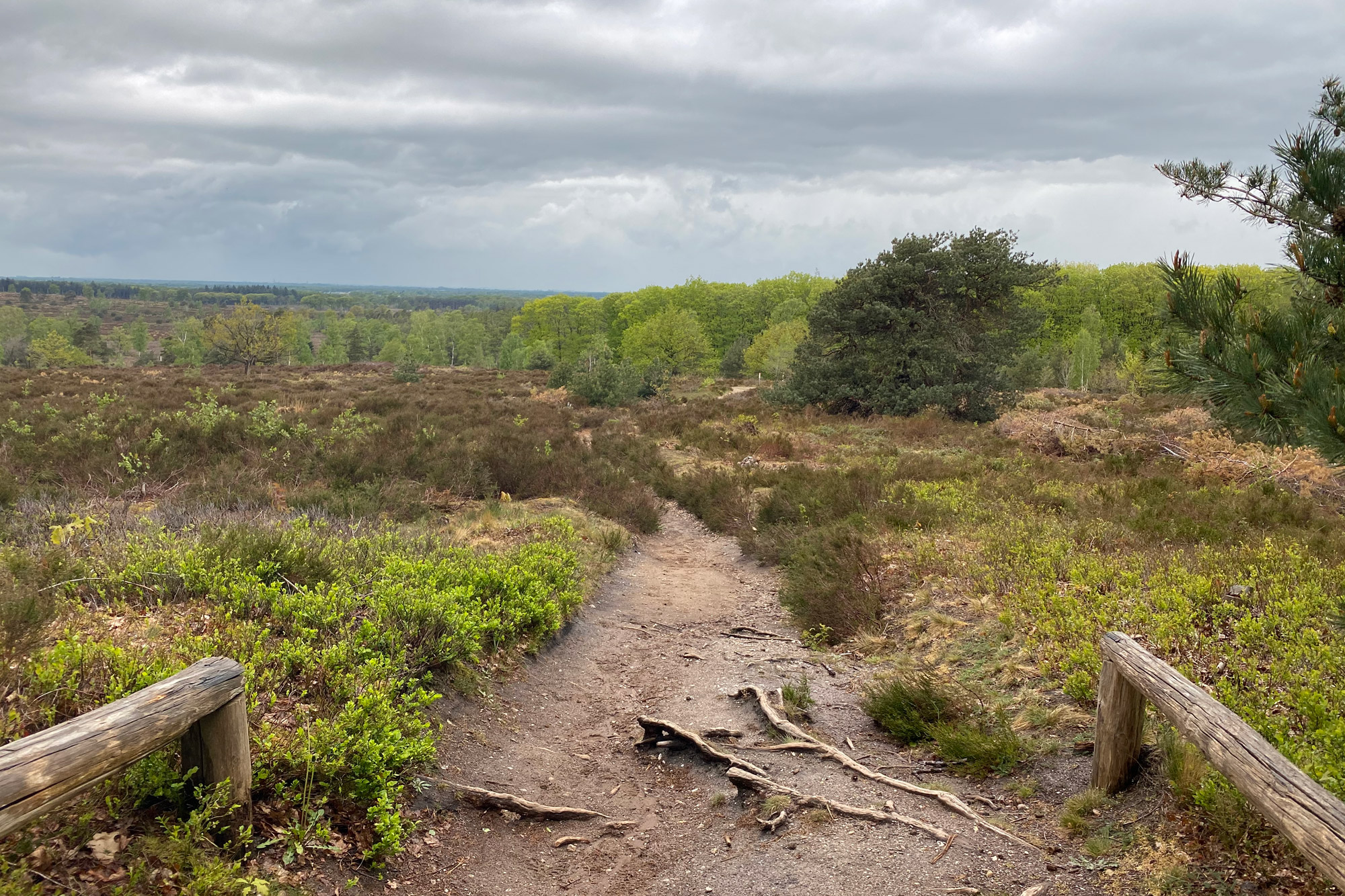 Wandeling: Rollende Heuvels, Sallandse Heuvelrug