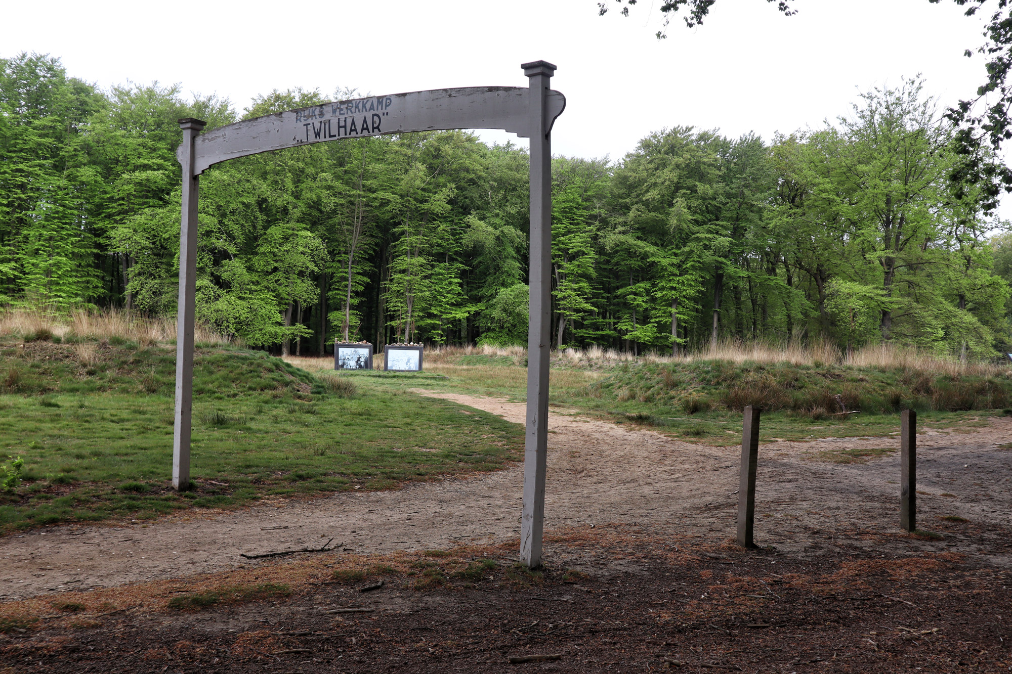 Wandeling: Rollende Heuvels, Sallandse Heuvelrug