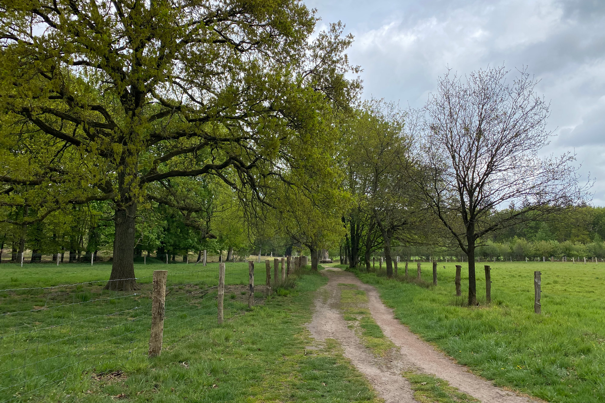 Wandeling: Rollende Heuvels, Sallandse Heuvelrug