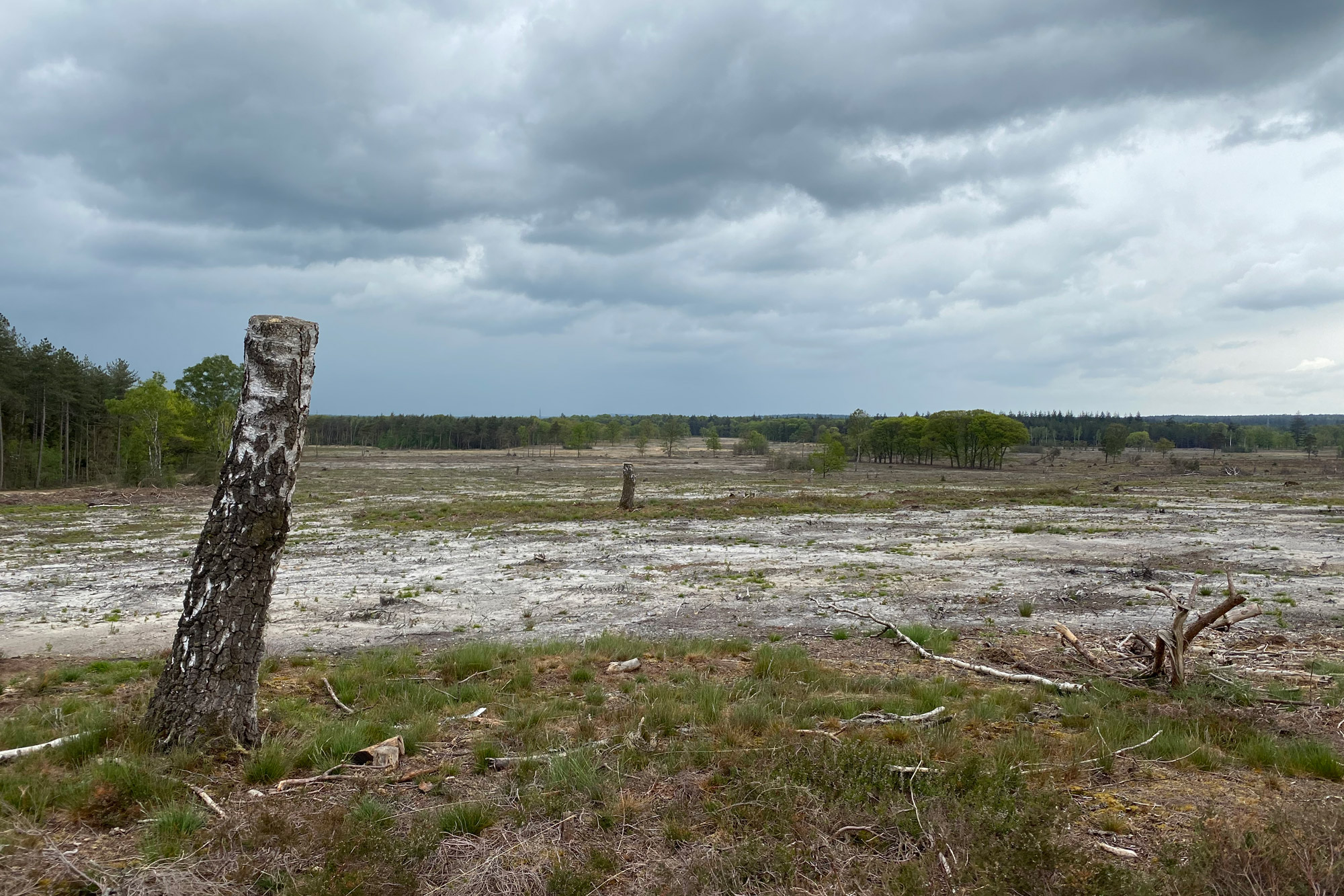 Wandeling: Rollende Heuvels, Sallandse Heuvelrug