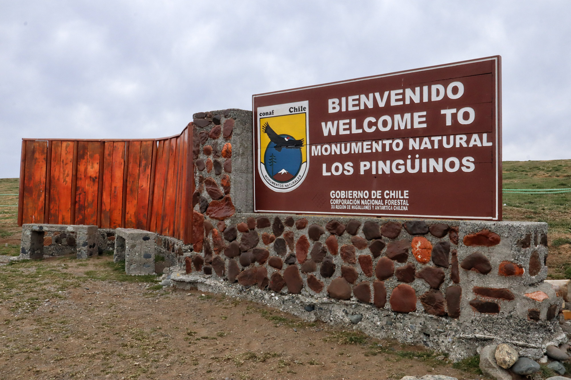 Magelhaenpinguïns spotten op Isla Magdalena - Patagonië