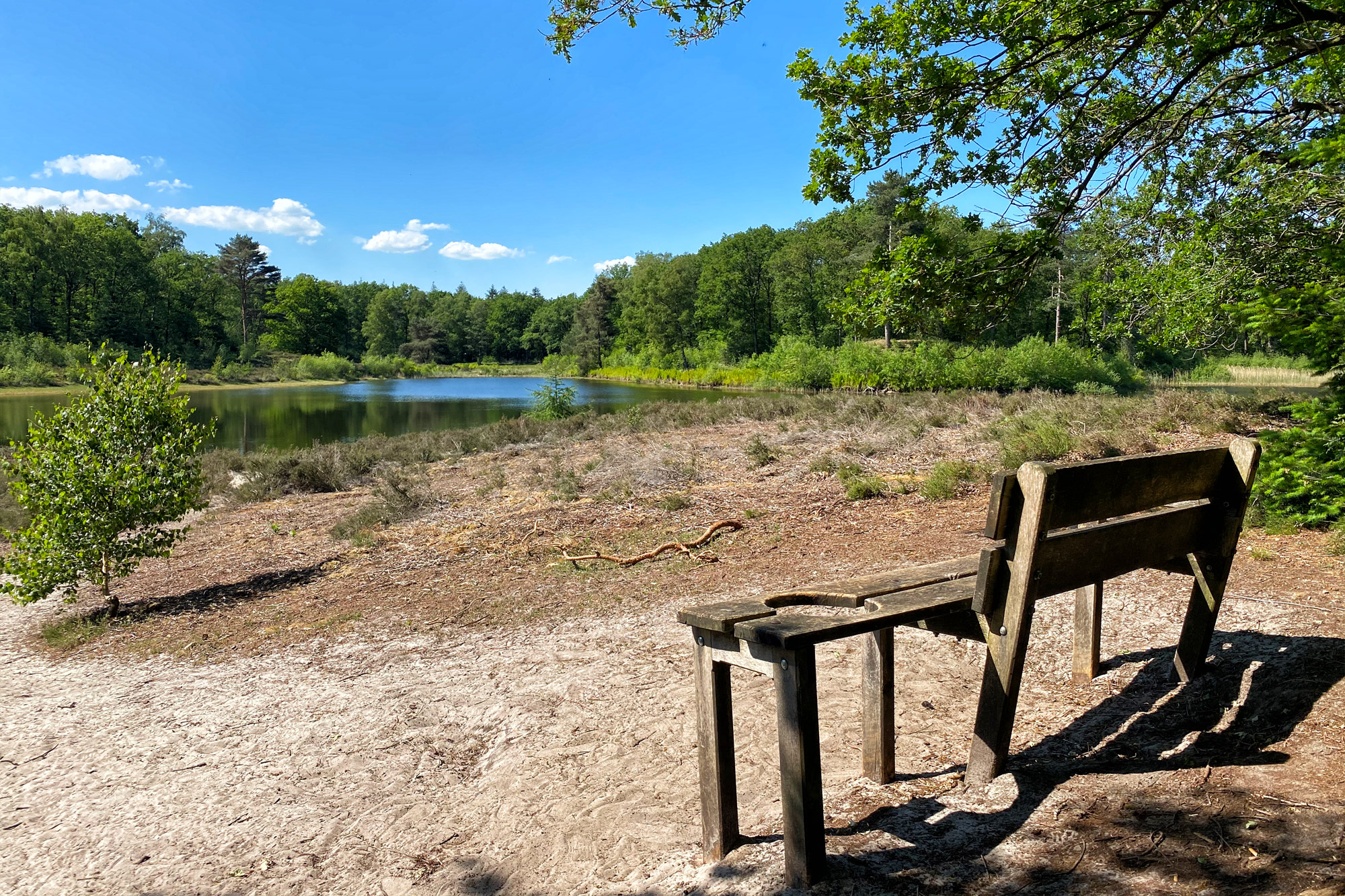 Reisverslag Weerribben-Wieden - Boswachterij Staphorst