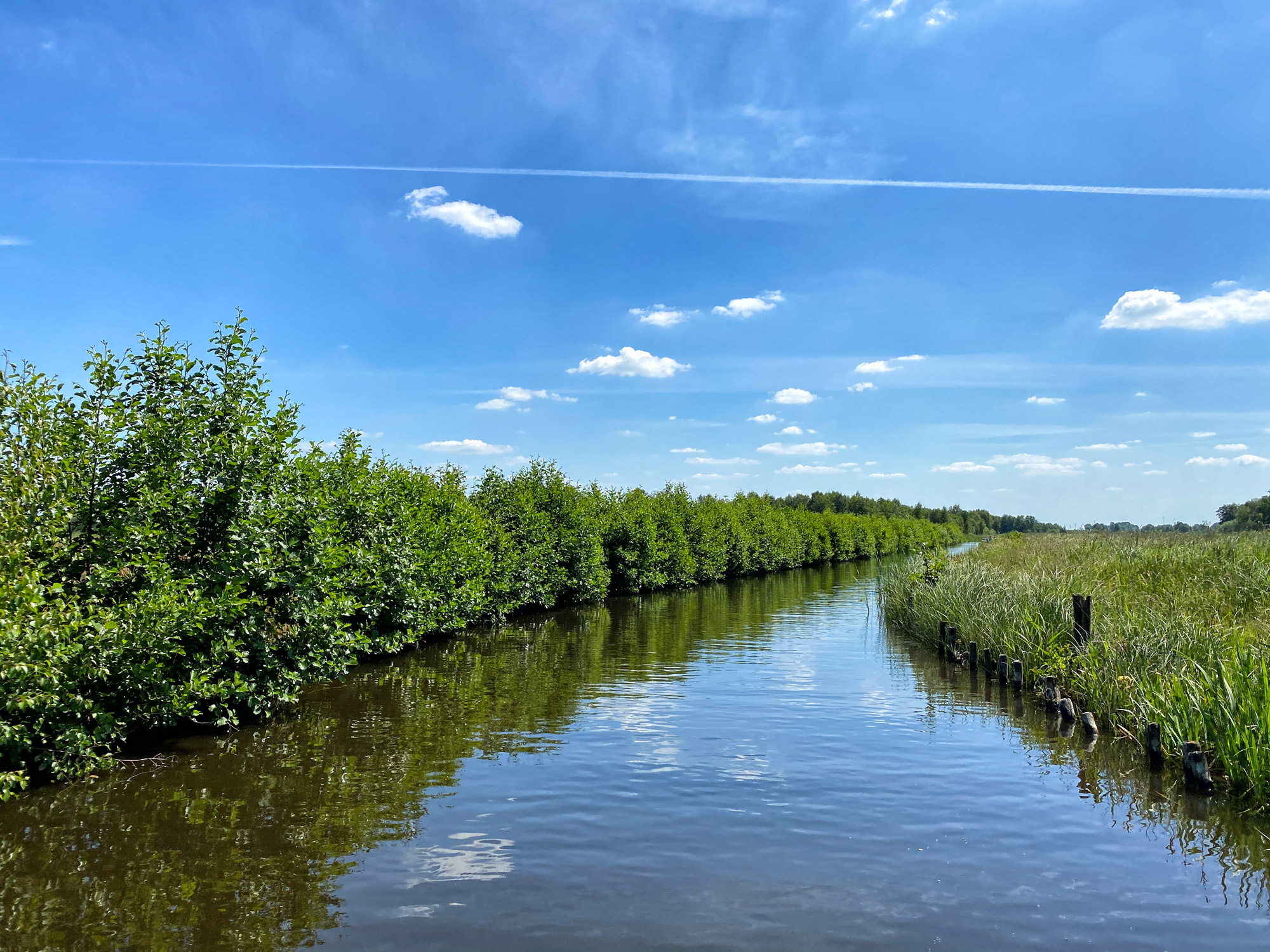 Reisverslag Weerribben-Wieden - Giethoorn