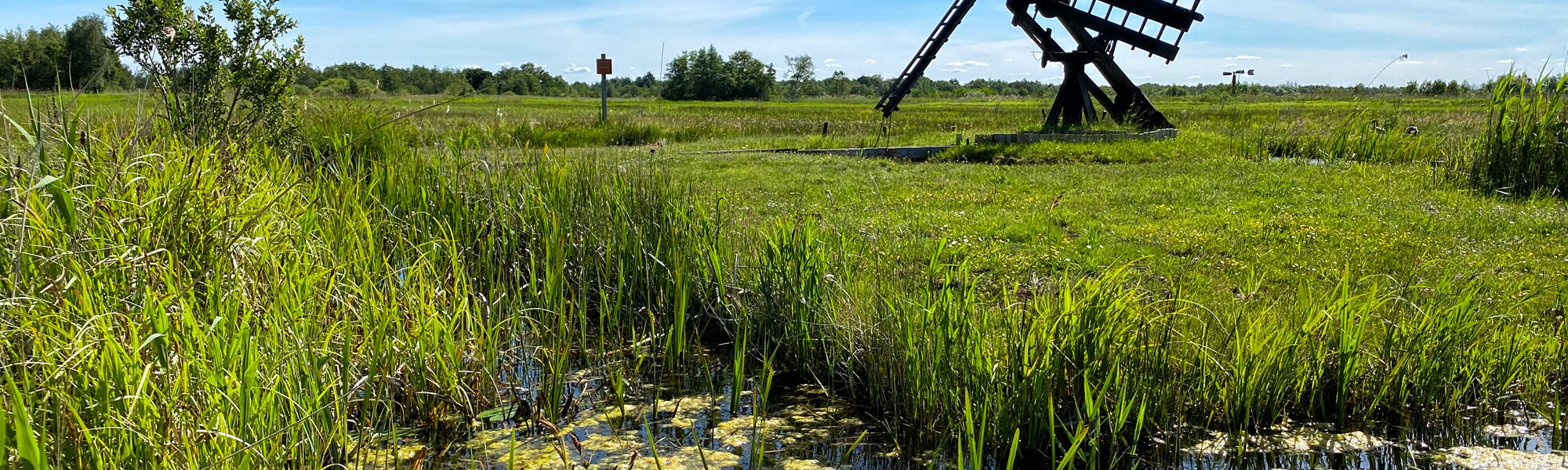 Reisverslag Weerribben-Wieden - Nationaal Park Weerribben-Wieden