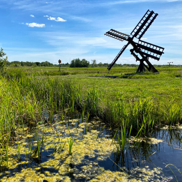 Reisverslag Weerribben-Wieden - Nationaal Park Weerribben-Wieden