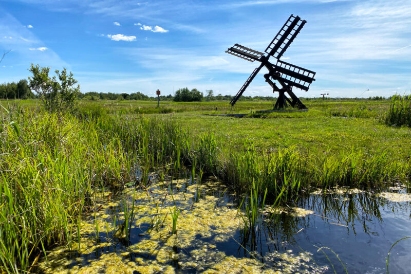 Reisverslag Weerribben-Wieden - Nationaal Park Weerribben-Wieden