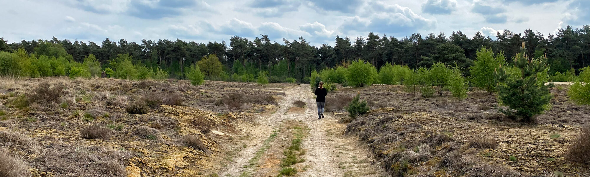 Wandeling: Oirschotse Heide